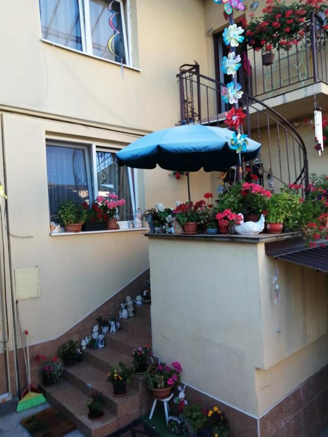 Apartament Cu Doua Camere Si Gradina Cluj-Napoca Exterior foto