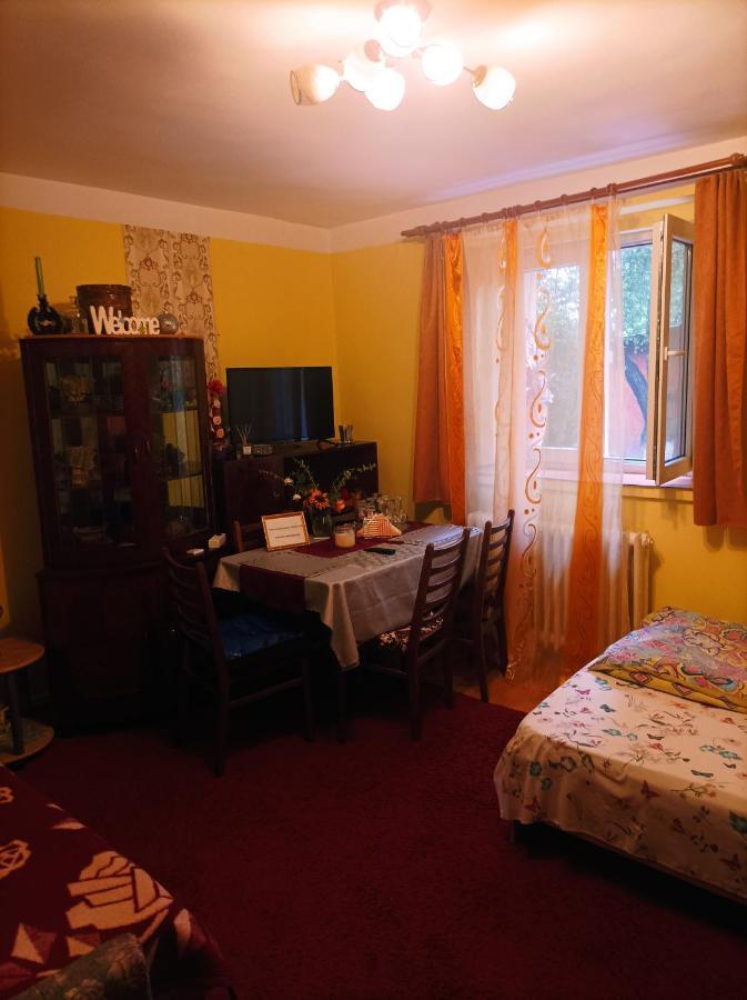 Apartament Cu Doua Camere Si Gradina Cluj-Napoca Exterior foto