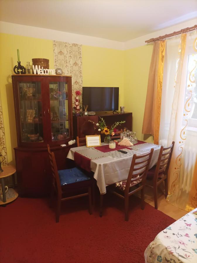 Apartament Cu Doua Camere Si Gradina Cluj-Napoca Exterior foto